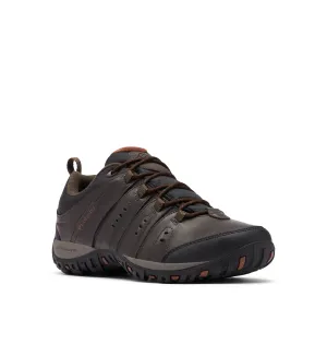 Columbia Men's Woodburn II Waterproof Trail Shoes (Cordovan Cinnamon)